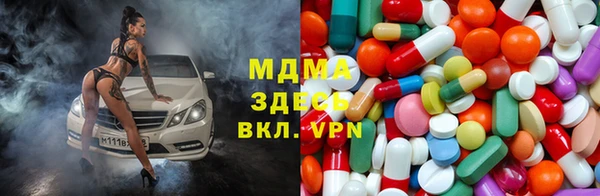 стаф Новокубанск