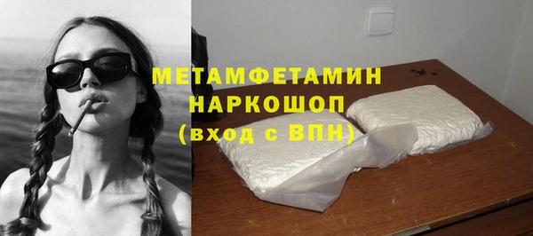 стаф Новокубанск