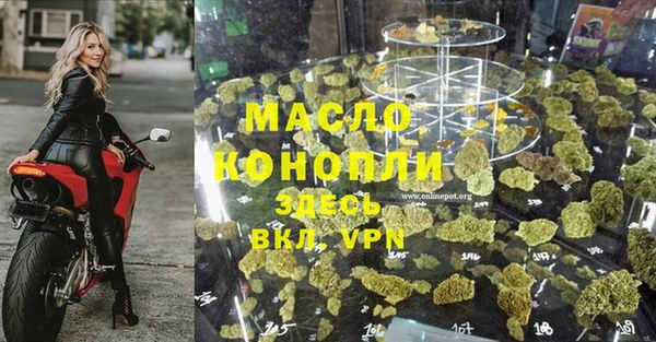 стаф Новокубанск