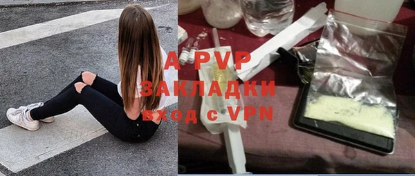 стаф Новокубанск