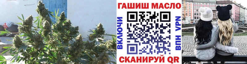 ссылка на мегу ТОР  Кострома  Дистиллят ТГК гашишное масло 