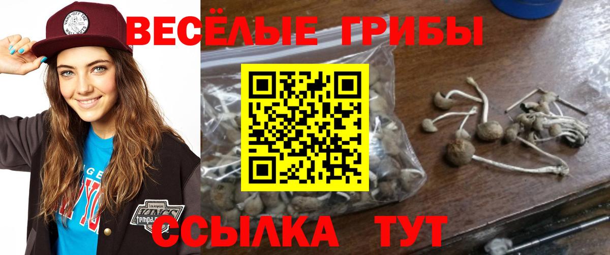 Псилоцибиновые грибы GOLDEN TEACHER Кострома