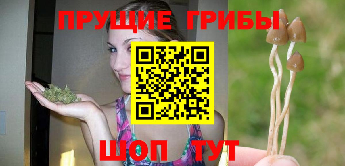 Галлюциногенные грибы Magic Shrooms Кострома
