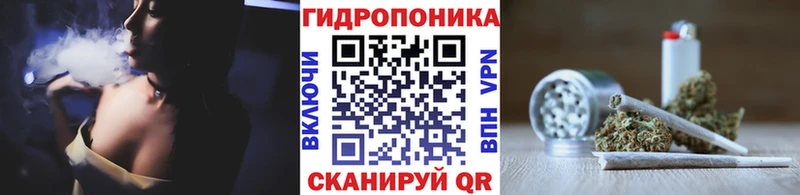 Шишки марихуана SATIVA & INDICA блэк спрут ссылка Кострома